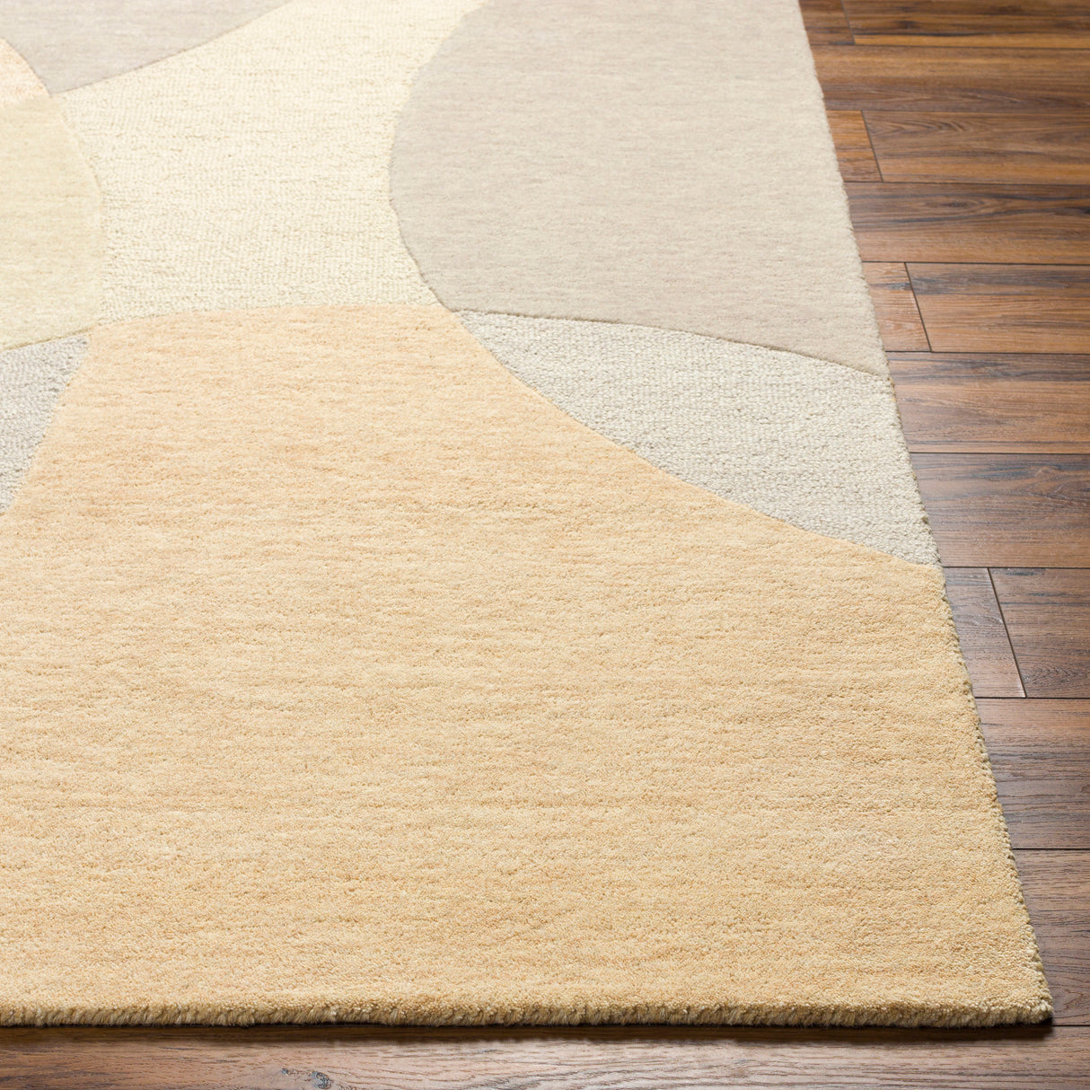 Surya Isabel Ibl-2300 Beige, Tan Rug.