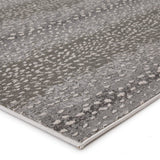 Jaipur Catalyst Axis Cty08 Gray/Natural Rugs.