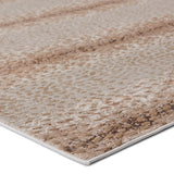 Jaipur Catalyst Axis Cty13 Tan/Gray Rugs.