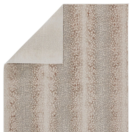 Jaipur Catalyst Axis Cty14 Light Gray/Brown Rugs.