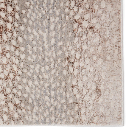 Jaipur Catalyst Axis Cty14 Light Gray/Brown Rugs.