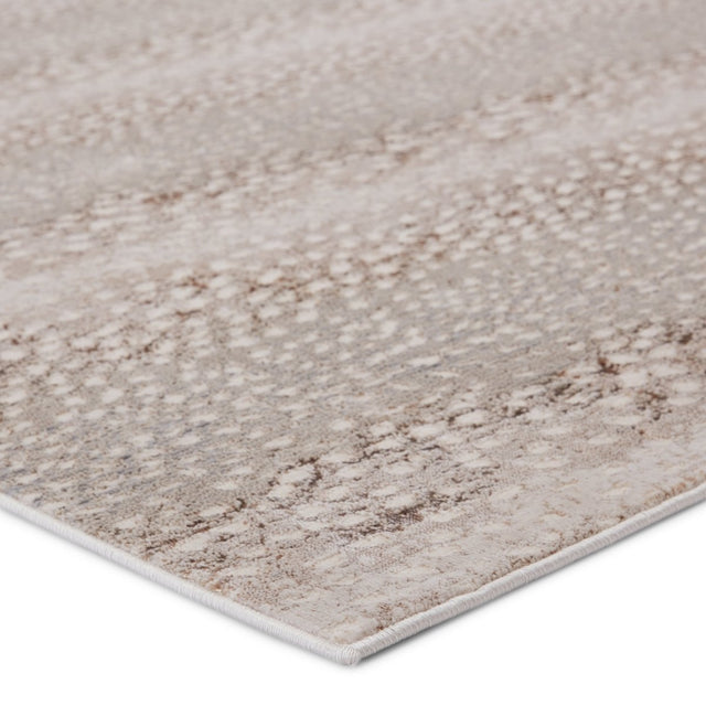 Jaipur Catalyst Axis Cty14 Light Gray/Brown Rugs.