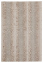 Jaipur Catalyst Axis Cty14 Light Gray/Brown Rugs.