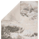 Jaipur Catalyst Cisco Cty04 Gray/N/A Rugs.
