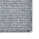 Jaipur Poise Glace Poe04 Dark Blue Rugs.