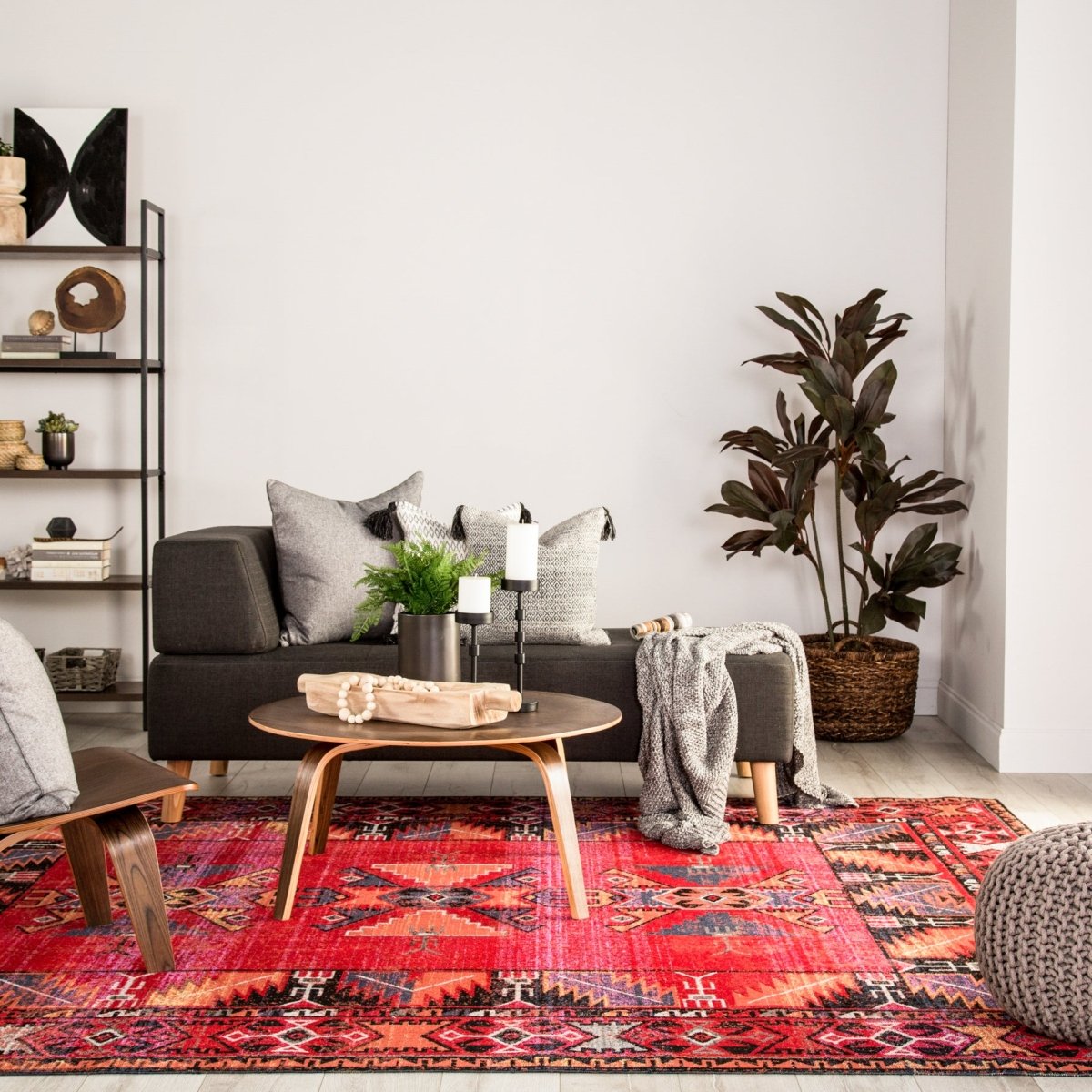 Jaipur Polaris Paloma Pol19 Red/Black Rug.
