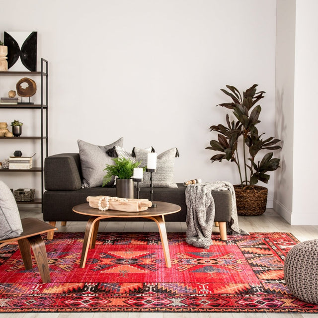 Jaipur Polaris Paloma Pol19 Red/Black Rug.
