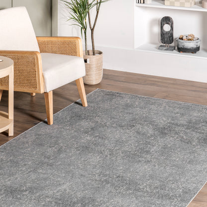 Nuloom Elspeth Casual Faded Bies01B Gray Area Rug