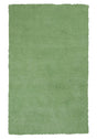 KAS Bliss 1578 Shag Spearmint Green Rugs.