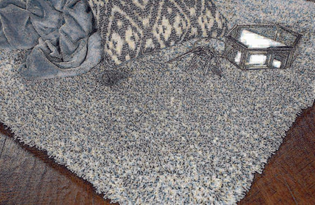 KAS Bliss 1587 Heather Slate Rugs.