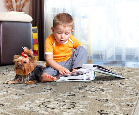 KAS Lucia 2752 Verona Beige / Grey Rugs.