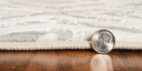 KAS Luna 7124 Dimensions Sand Silver Rugs.