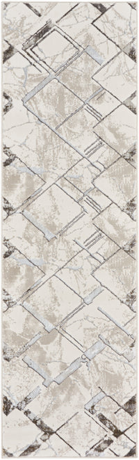 Nourison Glitz Glz02 Ivory/Grey Area Rug