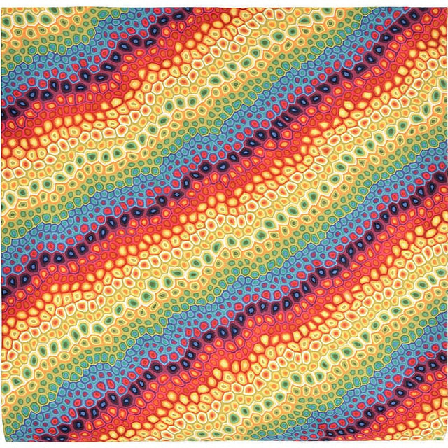 Liora Manne Visions Iv Pop Swirl 4127/44 Multi Rugs.