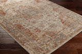 Livabliss Aspendos Aps - 2305 Gray Rugs - Livabliss - aps2305 - 23