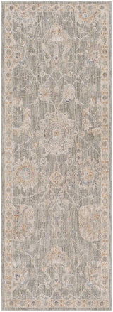 Livabliss Avant Garde Avt - 2305 Medium Gray, Charcoal, Light Gray, Beige Rugs - Livabliss - avt2305 - 2773