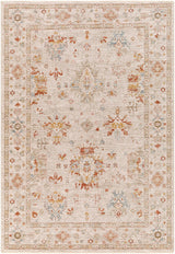 Livabliss Avant Garde Avt - 2311 Burnt Orange, Olive, Denim, Medium Gray Rugs - Livabliss - avt2311 - 23