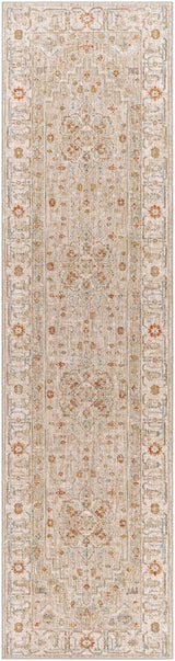 Livabliss Avant Garde Avt - 2314 Sage, Olive, Burnt Orange, Denim Rugs - Livabliss - avt2314 - 2773