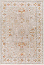 Livabliss Avant Garde Avt - 2319 Sage, Olive, Burnt Orange, Mustard Rugs - Livabliss - avt2319 - 23