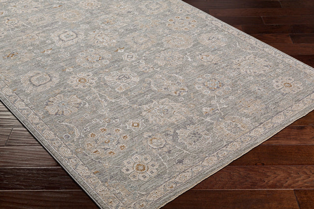 Livabliss Avant Garde Avt - 2335 Dusty Sage, Light Beige Rug - Livabliss - avt2335 - 274