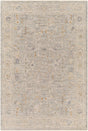 Livabliss Avant Garde Avt - 2339 Beige Rug - Livabliss - avt2339 - 23