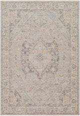 Livabliss Avant Garde Avt - 2359 Grey Rug - Livabliss - avt2359 - 23