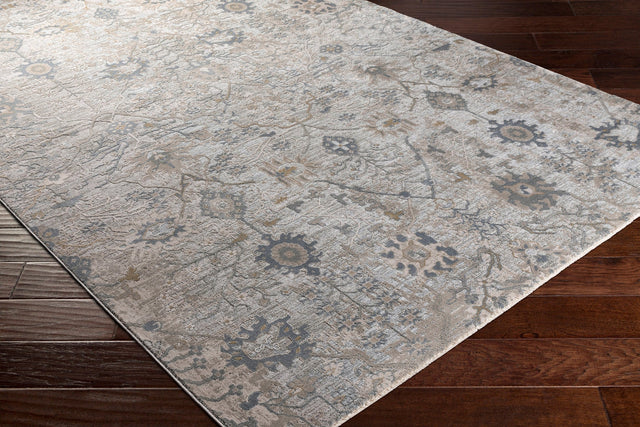 Livabliss Brunswick Bwk - 2315 Sage, Beige, Khaki, Denim Rugs - Livabliss - bwk2315 - 2773