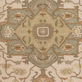Livabliss Caesar Cae - 1143 Beige / Slate / Moss / Tan / Olive Rugs - Livabliss - cae1143 - 23