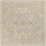 Livabliss Caesar Cae - 1162 Slate / Light Gray / Olive / Taupe Rugs - Livabliss - cae1162 - 4sq