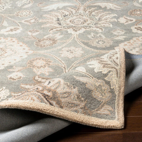 Livabliss Caesar Cae - 1195 Taupe, Camel, Cream, Light Gray Rugs - Livabliss - cae1195 - 4rd