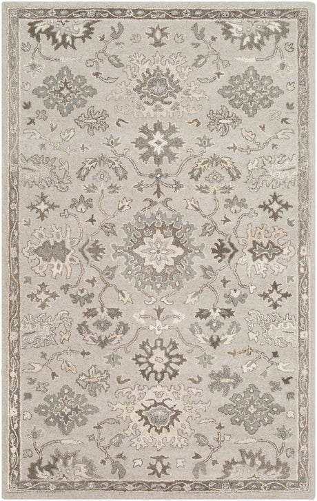 Livabliss Caesar Cae - 1197 Taupe, Charcoal, Dark Brown, Beige Rugs - Livabliss - cae1197 - 1218