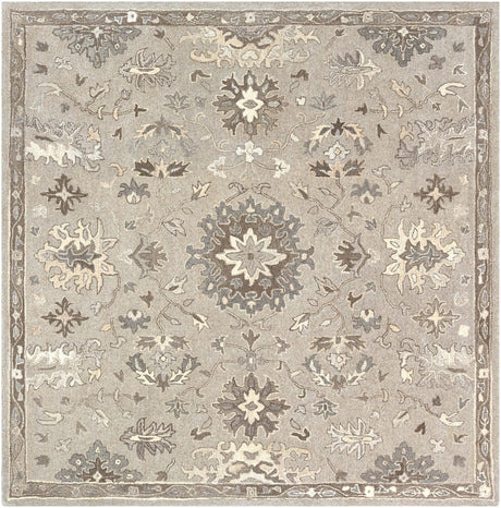 Livabliss Caesar Cae - 1197 Taupe, Charcoal, Dark Brown, Beige Rugs - Livabliss - cae1197 - 23