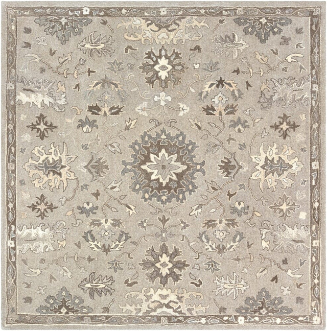 Livabliss Caesar Cae - 1197 Taupe, Charcoal, Dark Brown, Beige Rugs - Livabliss - cae1197 - 23