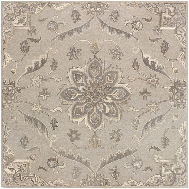 Livabliss Caesar Cae - 1201 Taupe, Charcoal, Beige, Dark Brown Rugs - Livabliss - cae1201 - 23