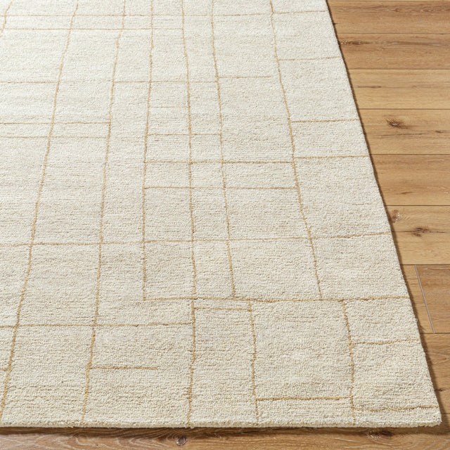 Livabliss Ira VVIR - 2301 Handmade Rug - Livabliss - VVIR2301 - 23