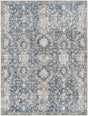 Livabliss Lorelai VVLO - 2305 Machine Woven Rug - Livabliss - VVLO2305 - 2211