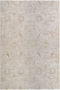 Livabliss Masterpiece Mpc - 2317 Light Gray, Cream, Medium Gray, Tan Rug - Livabliss - mpc2317 - 2211