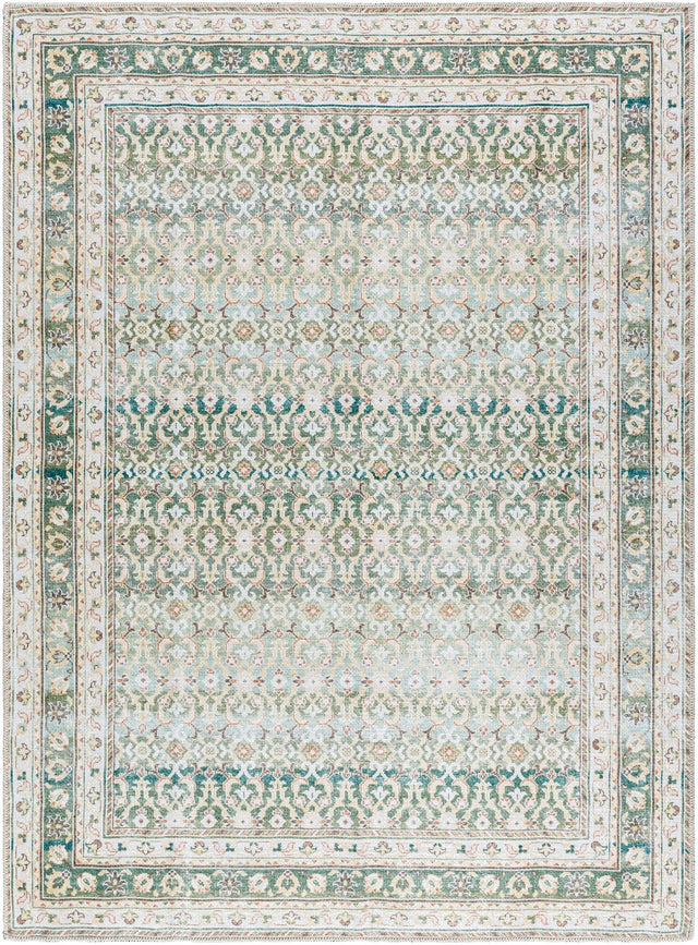 Livabliss Rainier PNWRN - 2304 Machine Woven Rug - Livabliss - PNWRN2304 - 2211