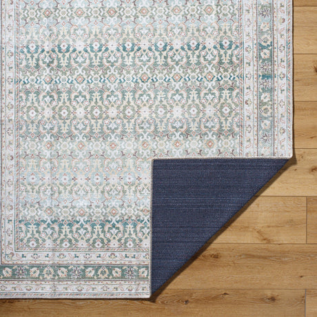 Livabliss Rainier PNWRN - 2304 Machine Woven Rug - Livabliss - PNWRN2304 - 2710