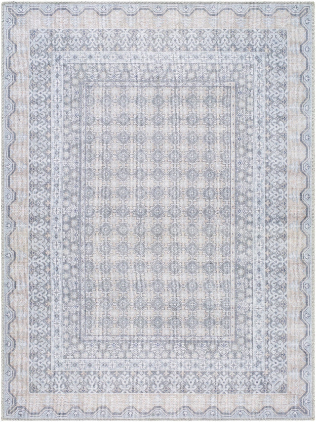 Livabliss Rainier PNWRN - 2313 Machine Woven Rug - Livabliss - PNWRN2313 - 2211