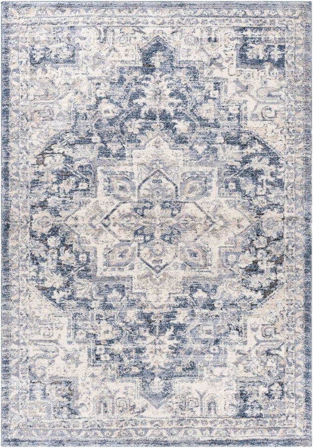 Livabliss Tuscany Tus - 2317 Dark Blue, Denim, Beige, Medium Gray Rugs - Livabliss - tus2317 - 23