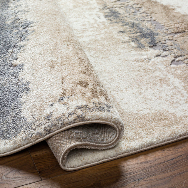 Livabliss Tuscany Tus - 2344 Beige, Ivory, Charcoal, Gray, Olive Rug - Livabliss - tus2344 - 23