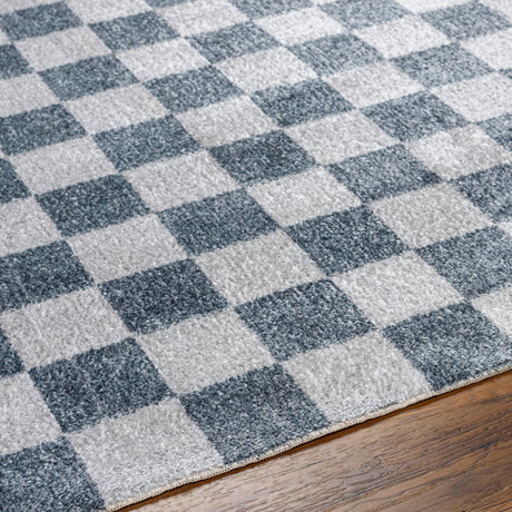 Surya Lillian Lll-2339 Gray, Black Rug.