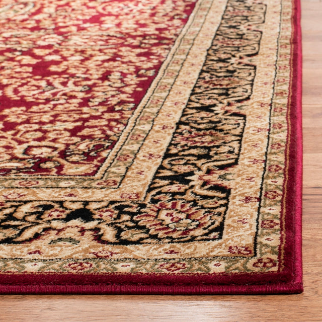 Safavieh Lyndhurst lnh214a Red / Black Rugs