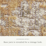 Chris Loves Julia x Loloi Rosemarie ROE-01 Gold / Sand Rug - macro detail