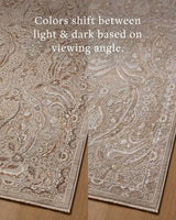 Loloi Aylin AYL-01 Mushroom / Earth Rug - angled corner on wood