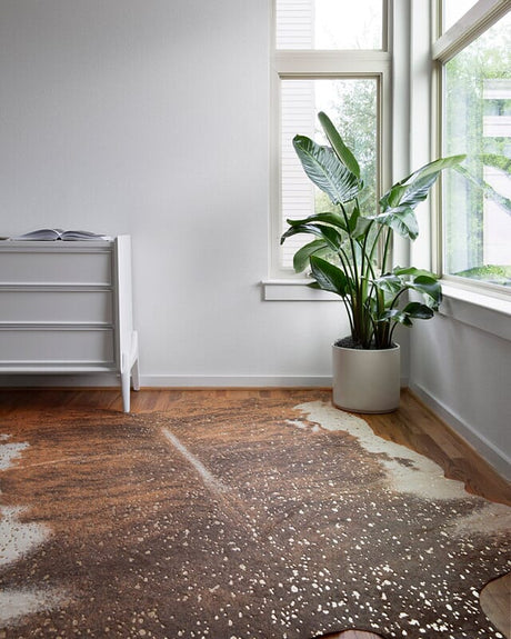 Loloi Bryce Bz-10 Walnut / Champagne Rugs.