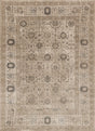 Loloi Century Cq-02 Taupe / Taupe Rugs.