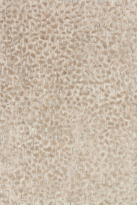 Loloi Juneau Jy-02 Ash / Taupe Rugs.