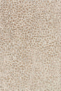 Loloi Juneau Jy - 02 Ash / Taupe Rugs - Loloi - junejy - 02asta3656